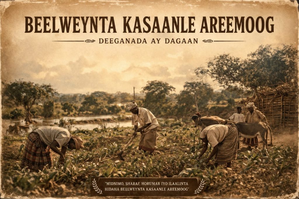 Deegaannada Beelweynta Kasaanle